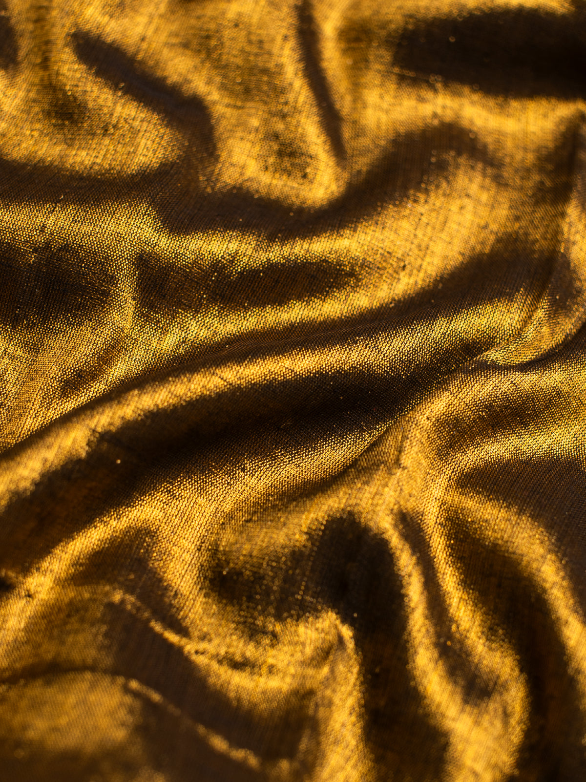 Brishti Cotton Tissue Saree