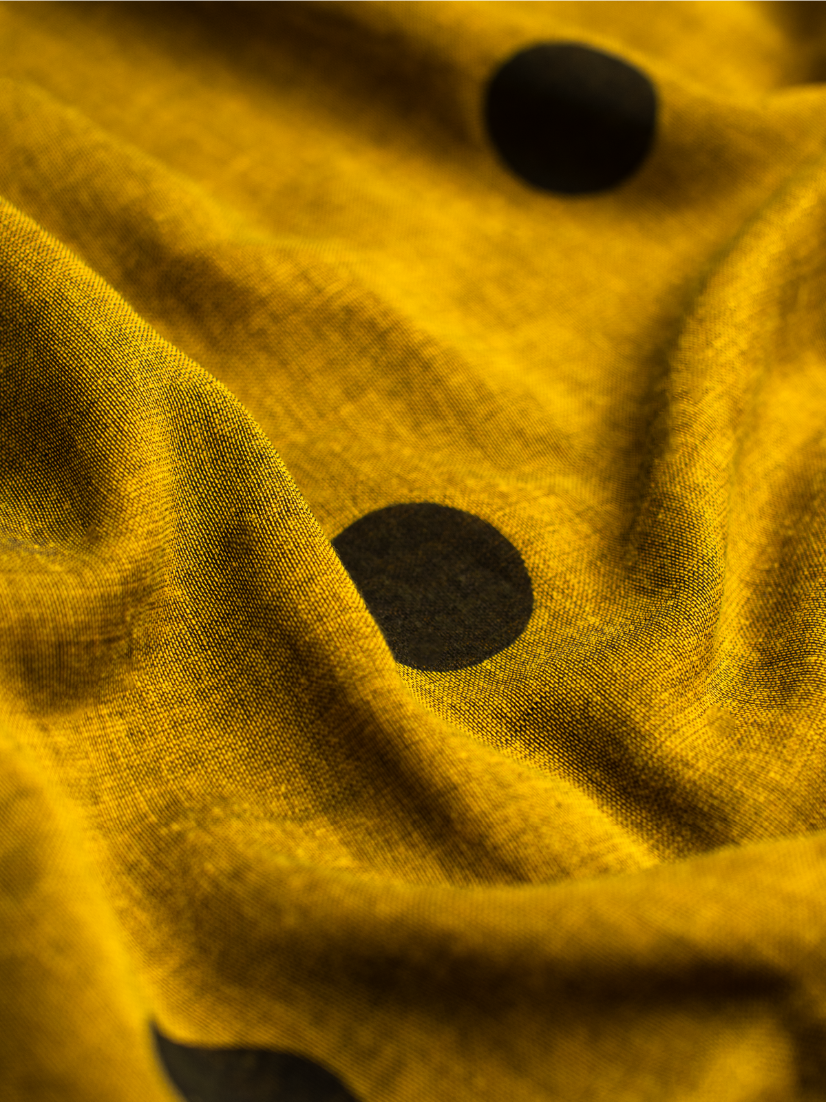 Rangbind Cotton Saree