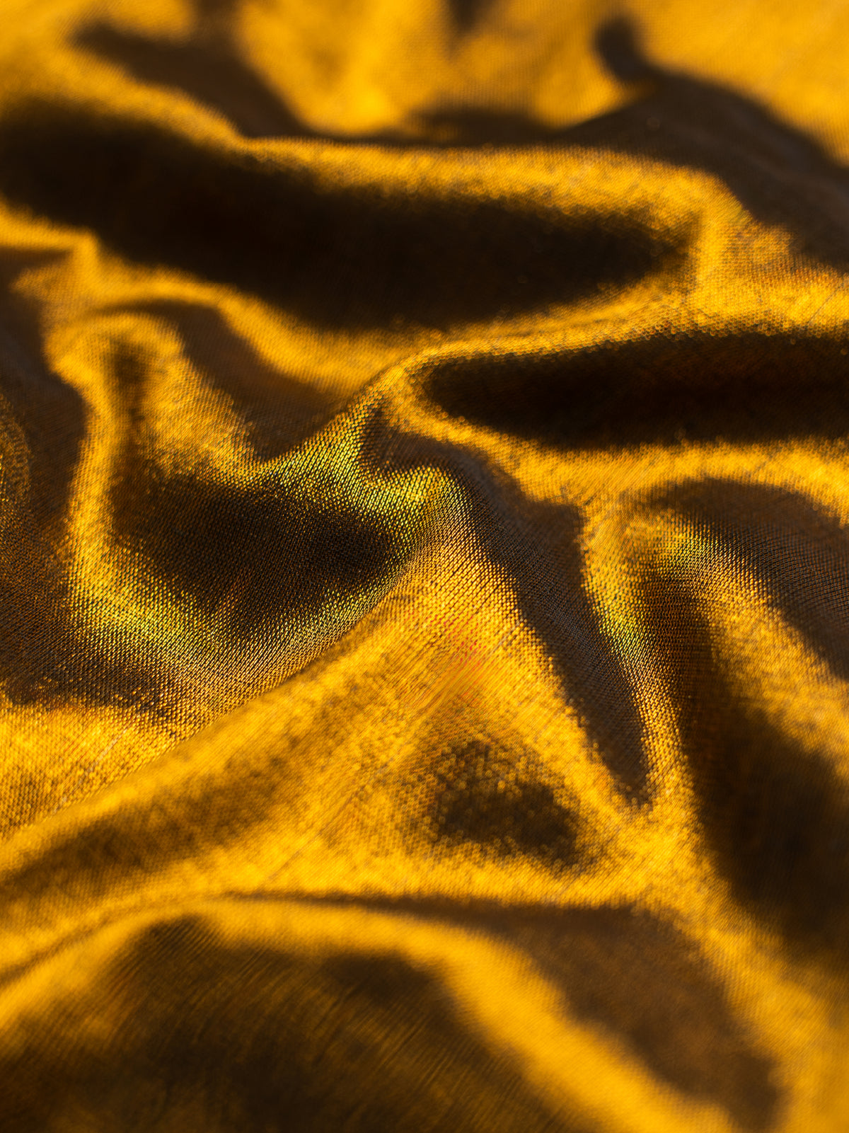 Chameli Cotton Tissue Saree