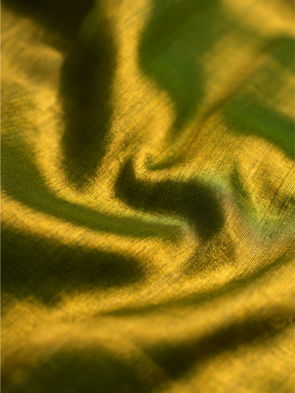 Byapok Cotton Tissue Saree