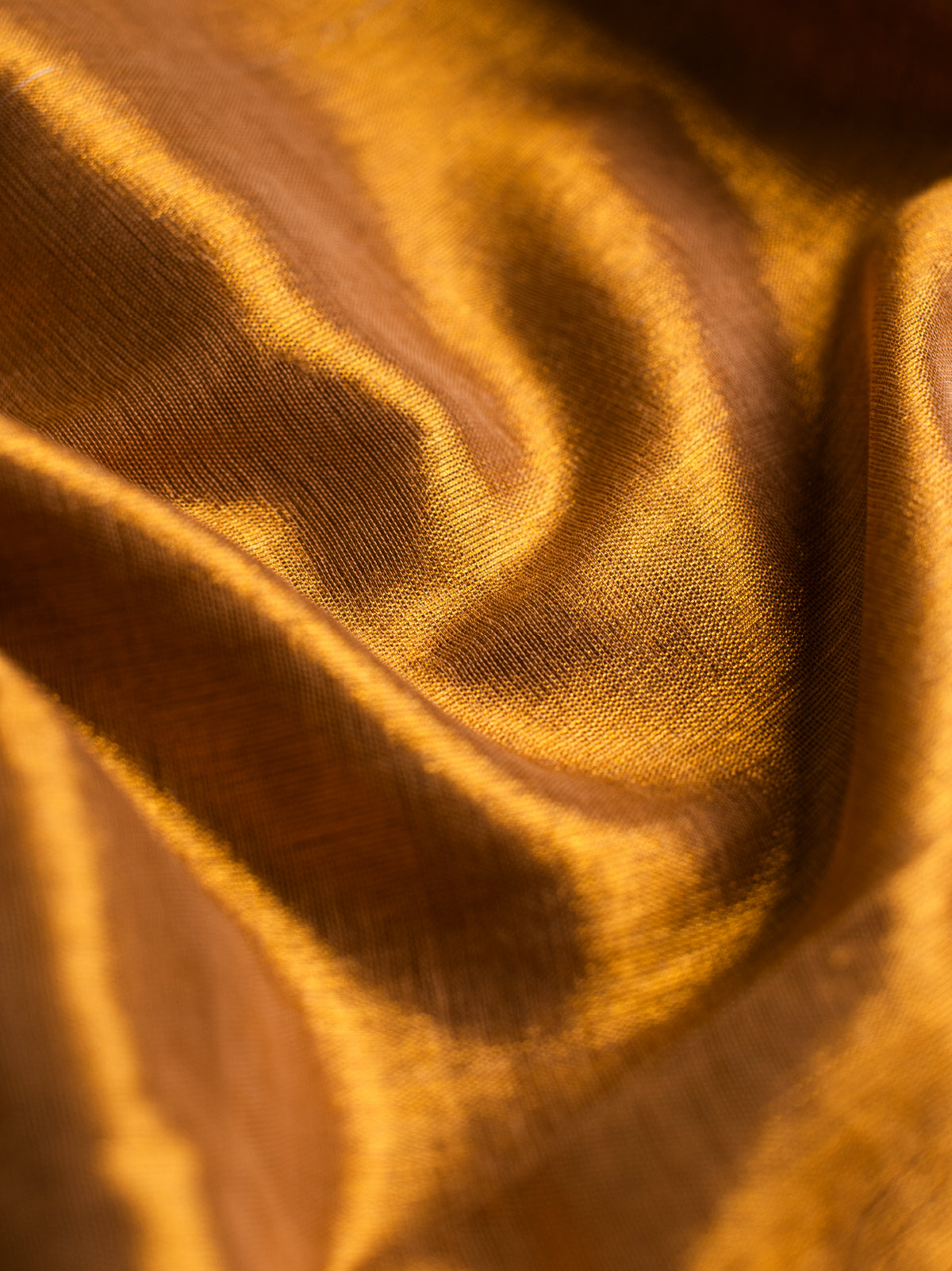 Amoni Cotton Tissue Saree