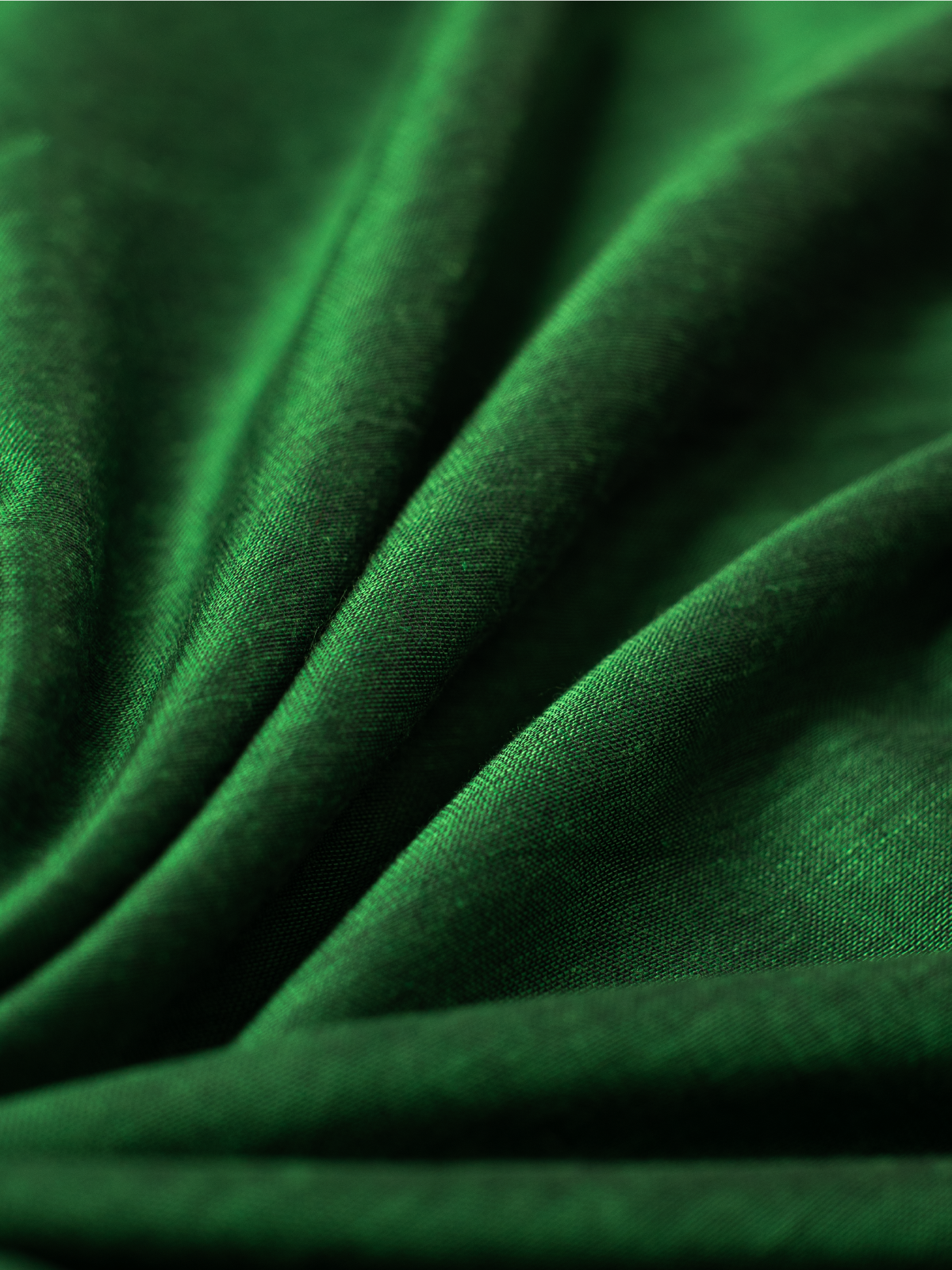 Leafy Cotton Saree