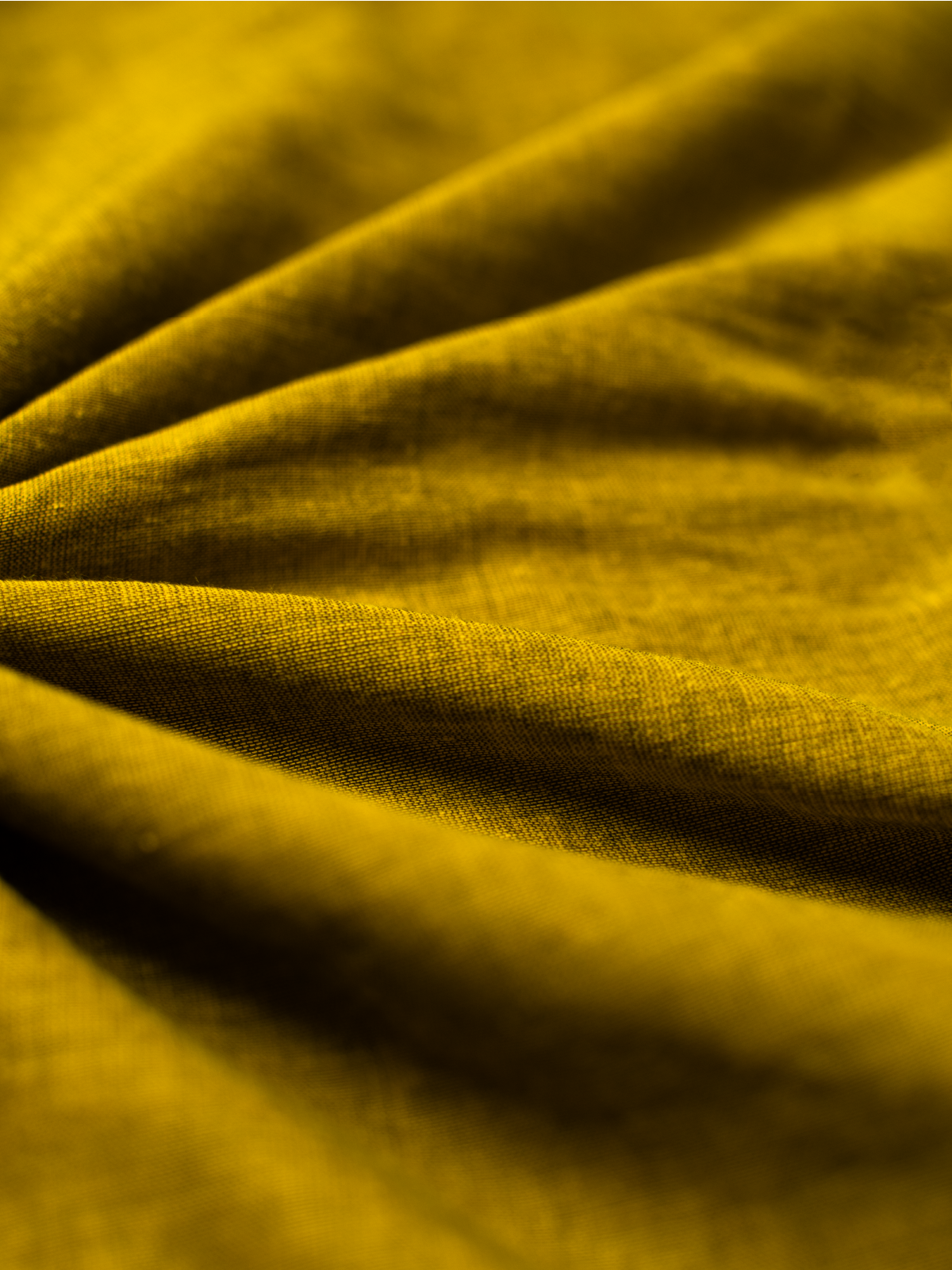 Mustard Cotton Saree
