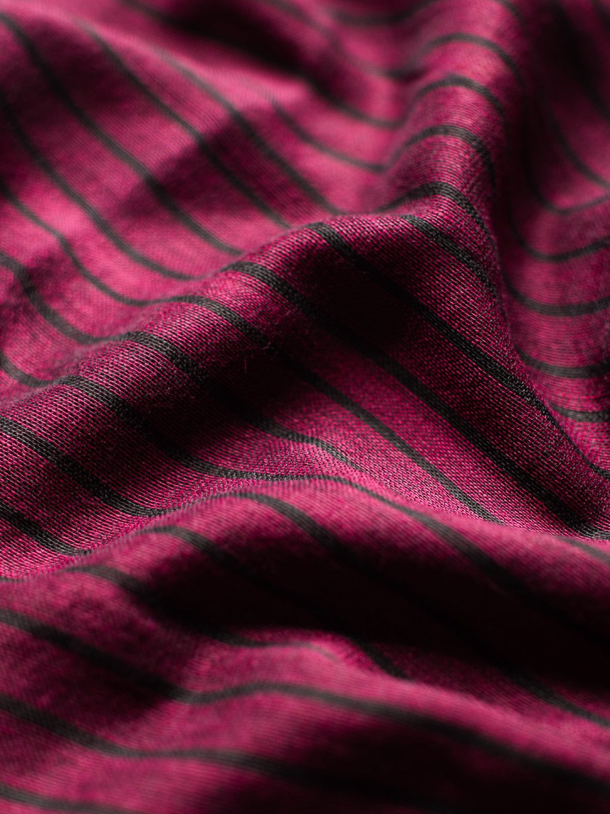 Ira Cotton Saree
