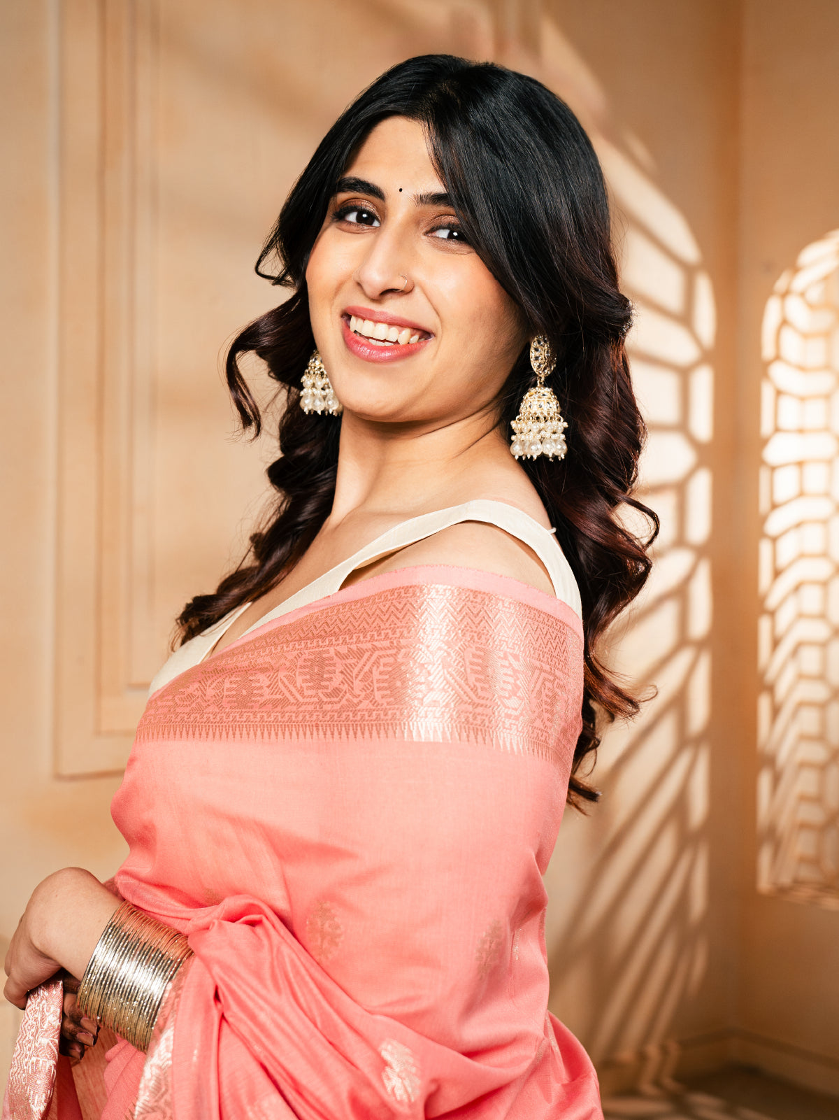 Meena Baag Banarasi Cotton Silk Saree